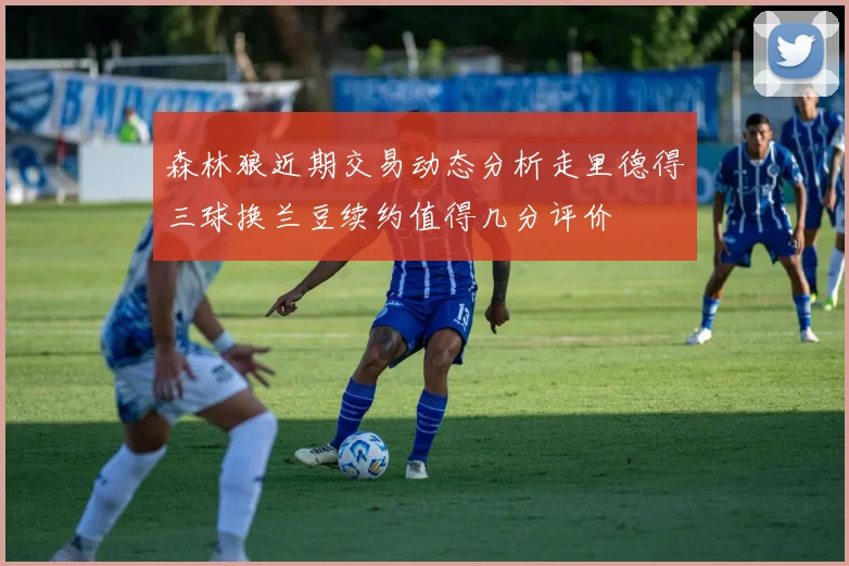 森林狼近期交易动态分析走里德得三球换兰豆续约值得几分评价
